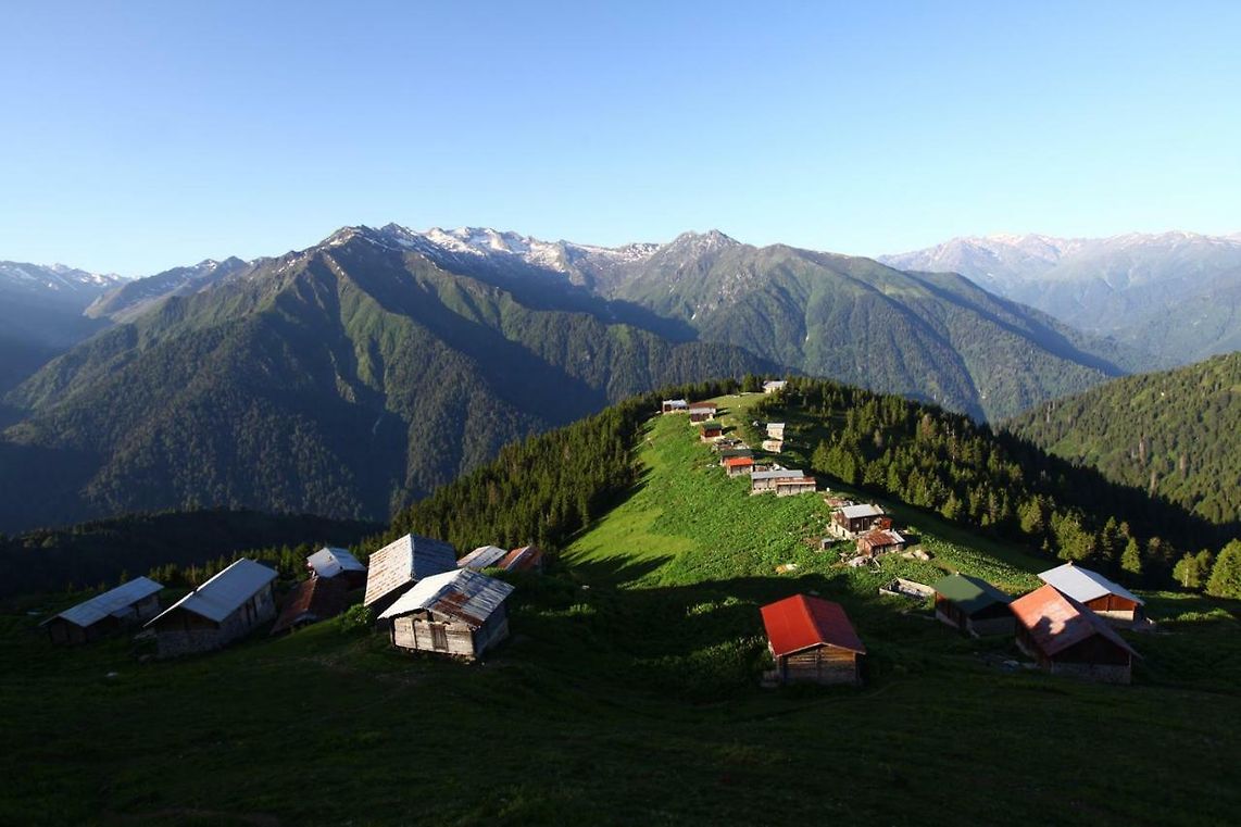 Pokut Турция